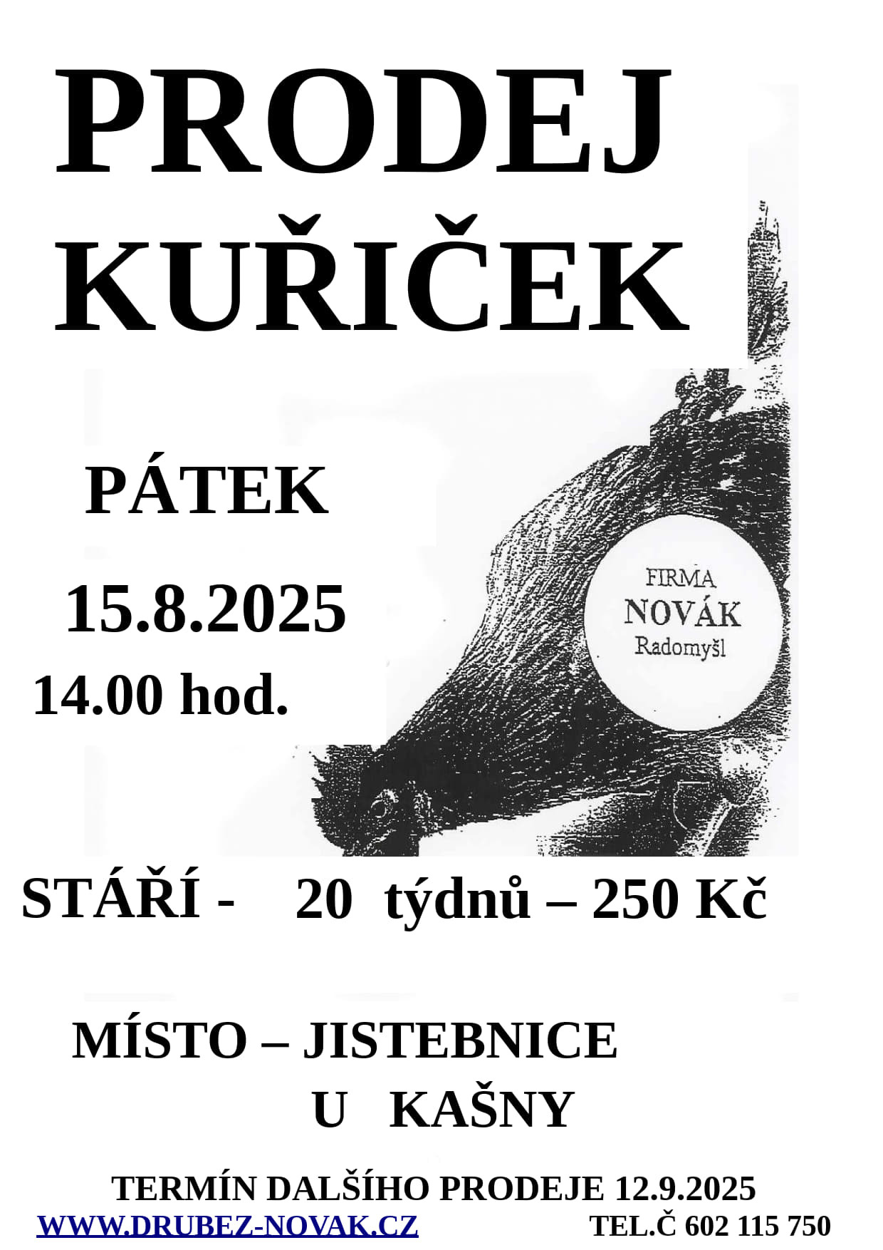 ikona článku