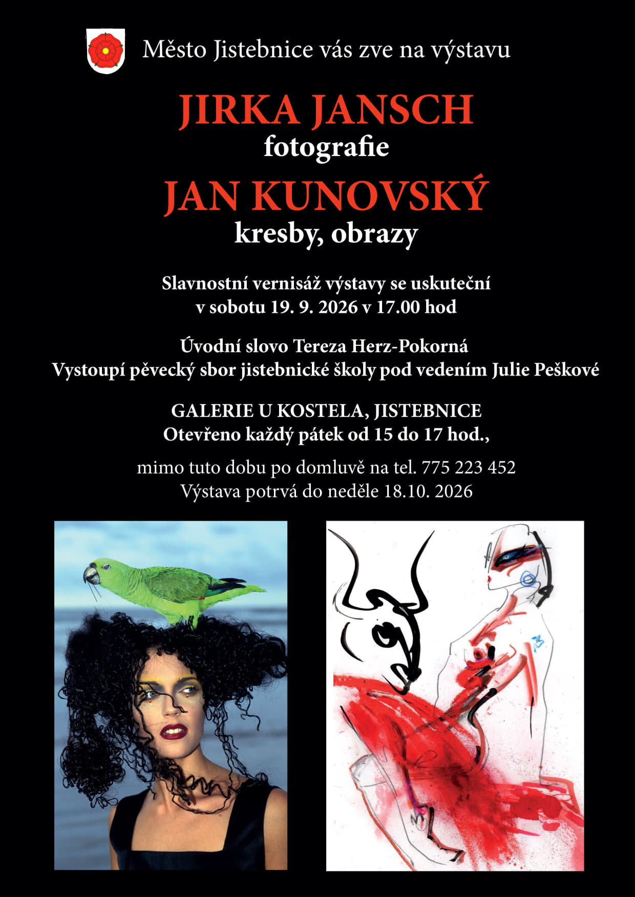 ikona článku