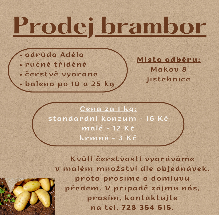 ikona článku